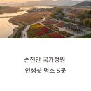 순천만여행 | 순천만 국가정원 여행 후기: 놓치면 아쉬운 사진 스팟 5곳