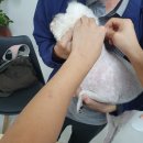 삼호동물병원 이미지