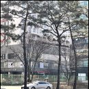 프라임핏(식사점) | [식사동 PT／식사동 헬스장] 프라임핏 식사점 PT 트레이닝 풍동헬스장 후기