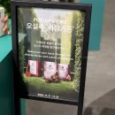 더현대서울 오설록 팝업 FIND YOUR TASTE 취향가든 후기, 블렌디드 티 신제품 만나본 서울데이트