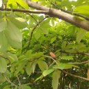 신북면사무소 이미지