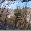 국도주유소 이미지