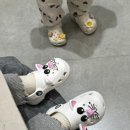 IAM캣 네이버블로그