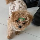 끼리끼리 이미지