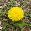 동부여성문화회관 이미지