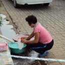 희숙농장 Daum카페