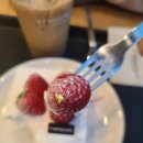 투썸플레이스목감점