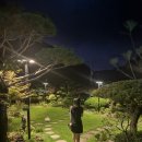 아침 정원 펜션 | 삼척애견동반펜션 단체 숙박하기 좋은 촌캉스 녹색정원펜션 방문 후기