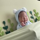 기타조형물 5 | 생후 20일, 5kg 아기 김혜정산후조리원 대구점 퇴소 후기(+ BCG접종)