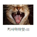 여니미스토리 | 마리오아울렛 세가 팝업 후기 : 남쟈없냐 남쟈 야쿠자 남쟈 소개시켜줘야쥬🥴