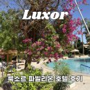 아름다운 정원을 꿈 | 파빌리온 윈터 룩소르 호텔 추천, 숙박 후기, 할인 꿀팁, 조식