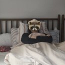 바로서면병원 (급식소포함) | 부산 서면 눈밑지 내돈내산 후기 1-3일차(꿀템추천)