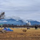 구미파크골프장 이미지