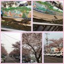 마마운동화 이불빨래방(한림점) 이미지