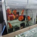 케이디스커스