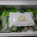 모단농장 이미지