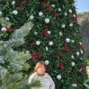 빌라쥬드 아난티 빌라동 이미지