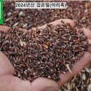 Re: 유기농 검은밀/토종앉은뱅이밀/통밀가루/통밀쌀 50% 맛보기 이벤트 당첨자 발표 이미지