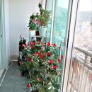 용산-222 이미지