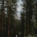 송원초등학교 이미지