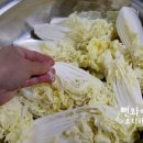 알배기