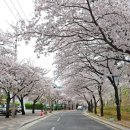 앞산맛둘레길 이미지