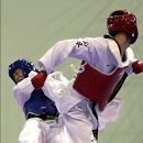 용인대 서울태권도 이미지