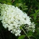 밝은행정사 사무소 이미지