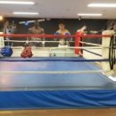 복싱임팩트 이미지