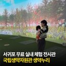 제주체험기획 | 비오는날 제주 서귀포가볼만한곳 생약누리, 7월체험활동 반딧불이 종이랜턴 만들기 후기