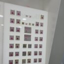 전주행복약국 이미지