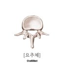 핌한의원 이미지