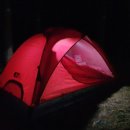 숲속의향기 이미지