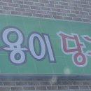 용용이 당구장 Daum카페