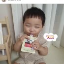 도다미네 이미지