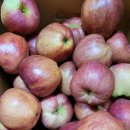 귀순농장 이미지