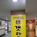강서 수산시장 횟집 ‘신갯마을’ 솔직 후기｜푸짐한 회, 해물 한 상 제대로!