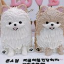 꾸밤꾸밤 이미지