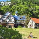강원도 애견동반여행 에어비앤비 숙소 추천, 홍천 아내뜨