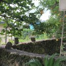 신효중앙로 이미지