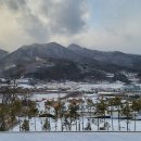 마운틴관광농원 이미지