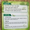 박순자손수제비녹두집 이미지