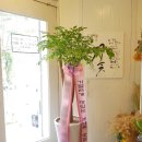 혜은농장 이미지