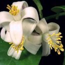 광주효광중학교 이미지