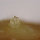 청주시농업기술센터 이미지