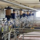 영남축산 이미지