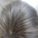 베스트상사 이미지