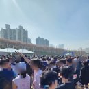 2257 | [2026 안양천 벚꽃마라톤] 10km 참가 후기_봄이었다_2026-04-12