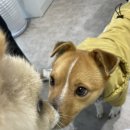 달곰의 부뚜막 이미지