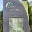 에버호텔 | 에버랜드 근처 숙소 끝판왕 호텔더솜포레스트 후기